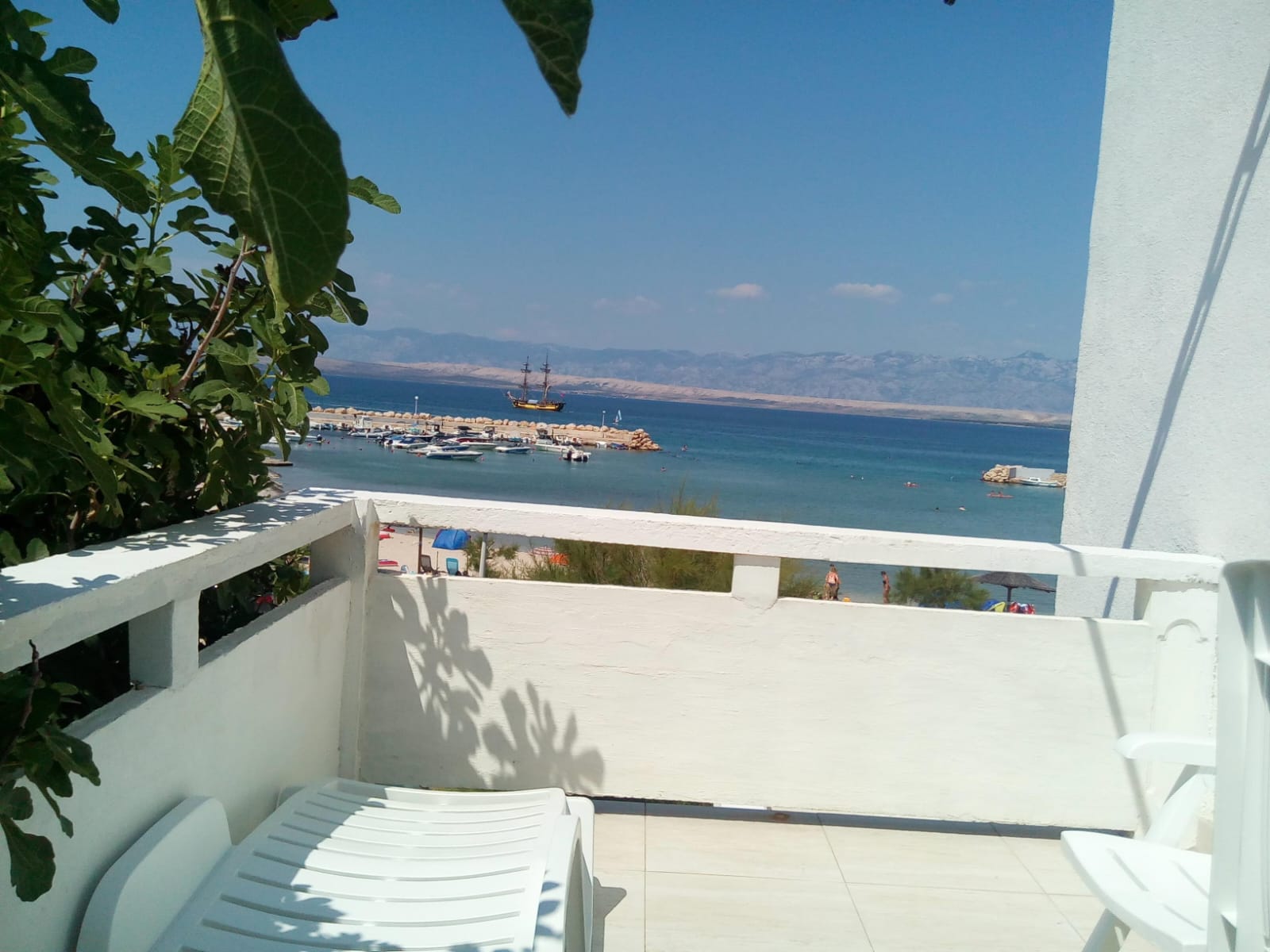 IMG-20240109-WA0019